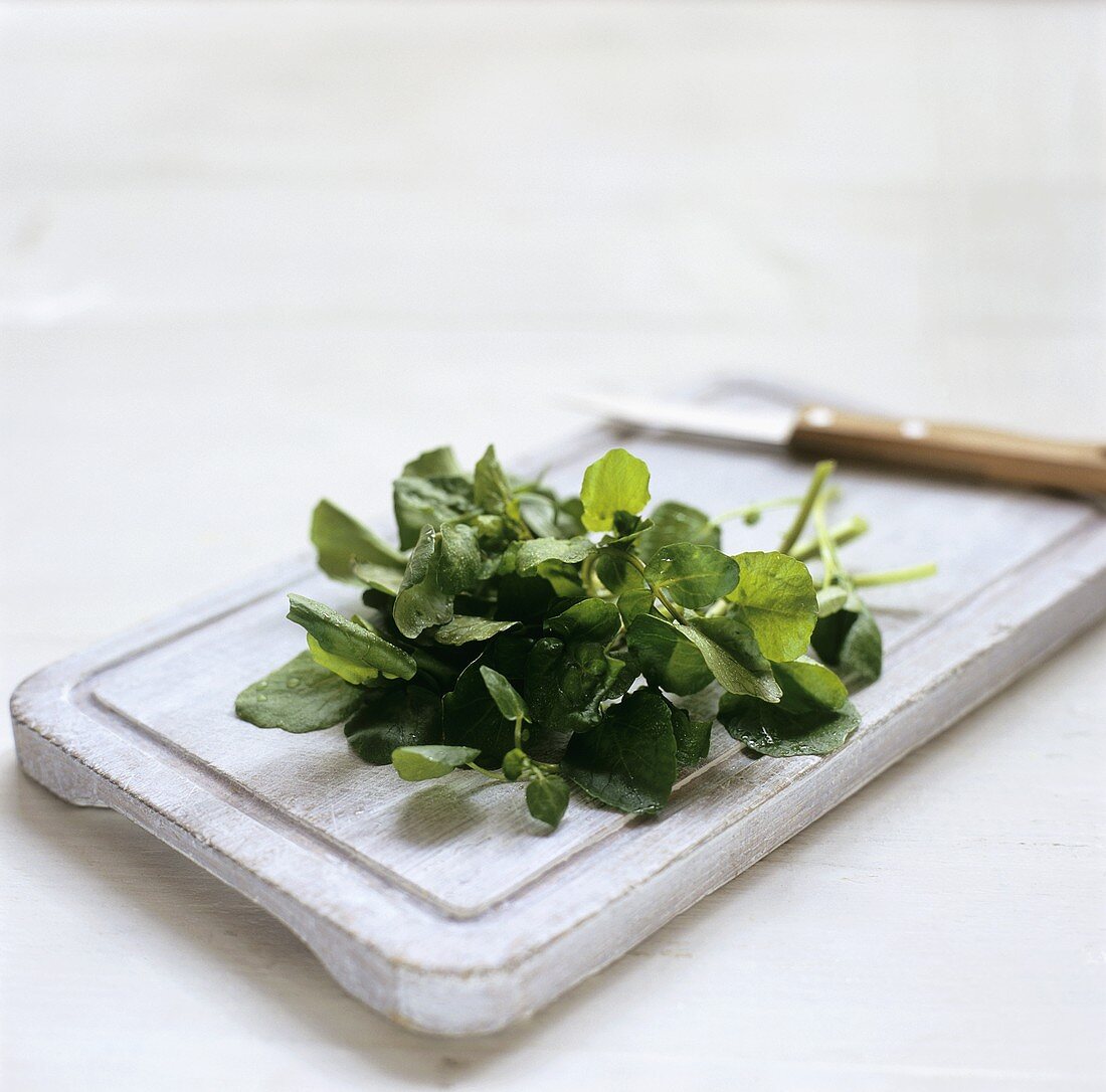 Watercress on a wooden board with knife