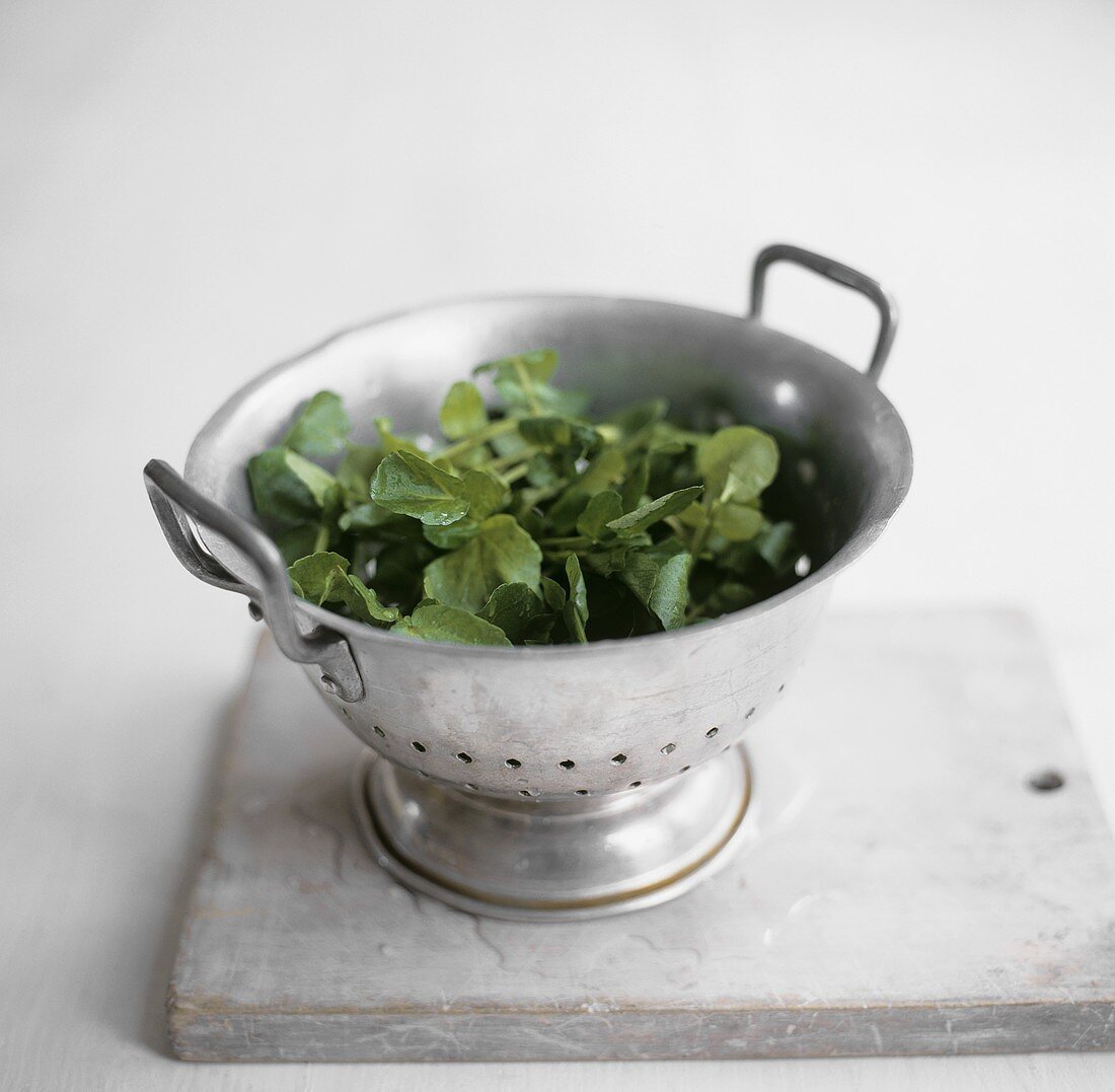 Freshly washed watercress in a colander