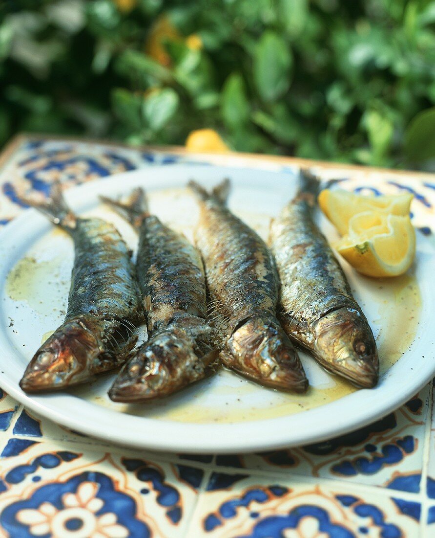 Grilled sardines with lemon