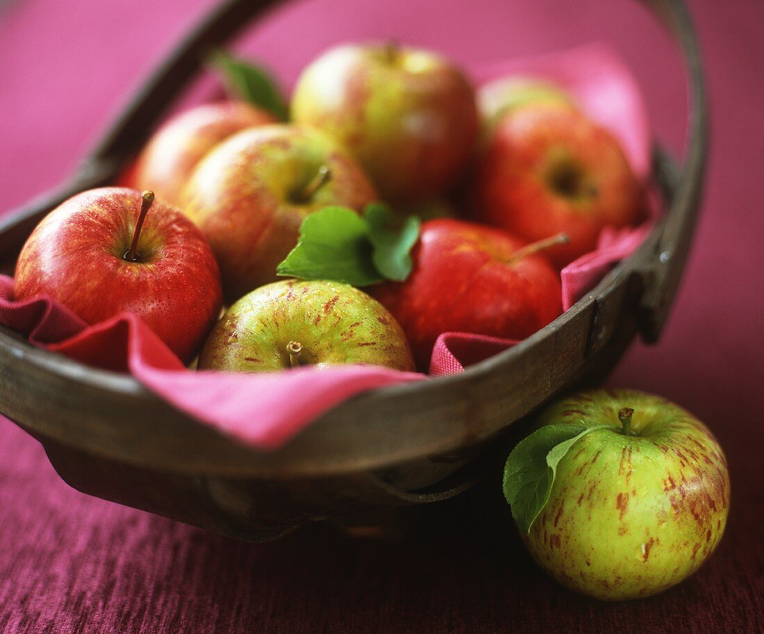 Apples in a basket