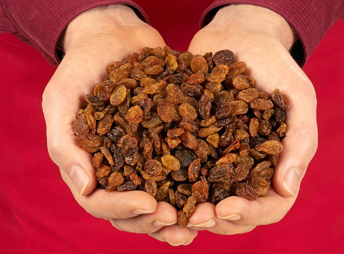 Hands holding raisins