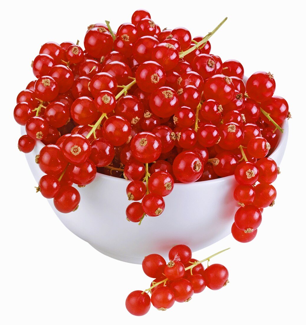 Redcurrants in white bowl