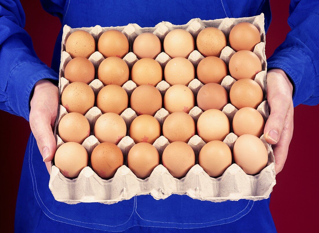 Hands holding egg tray full of brown eggs