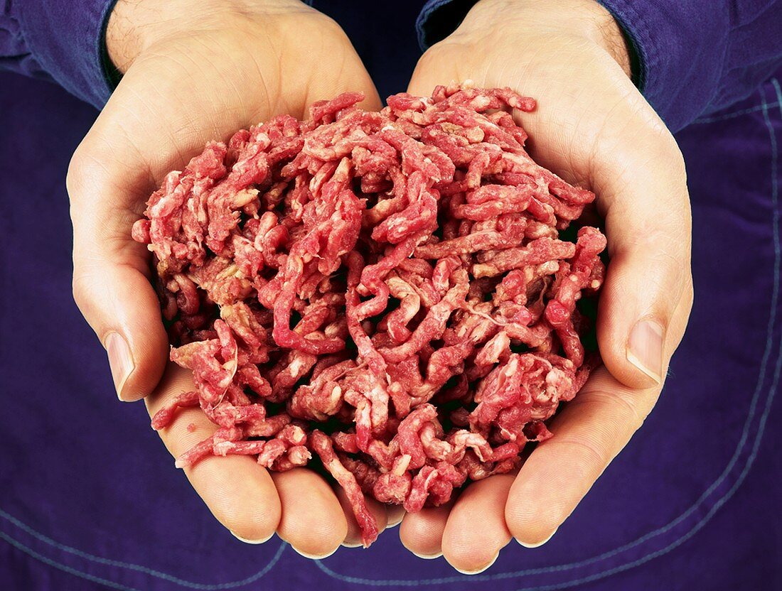 Hands holding fresh mince