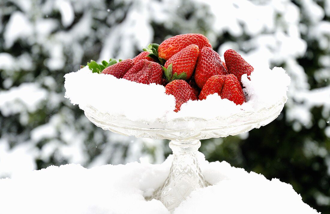 Glasschale mit frischen Erdbeeren im Schnee