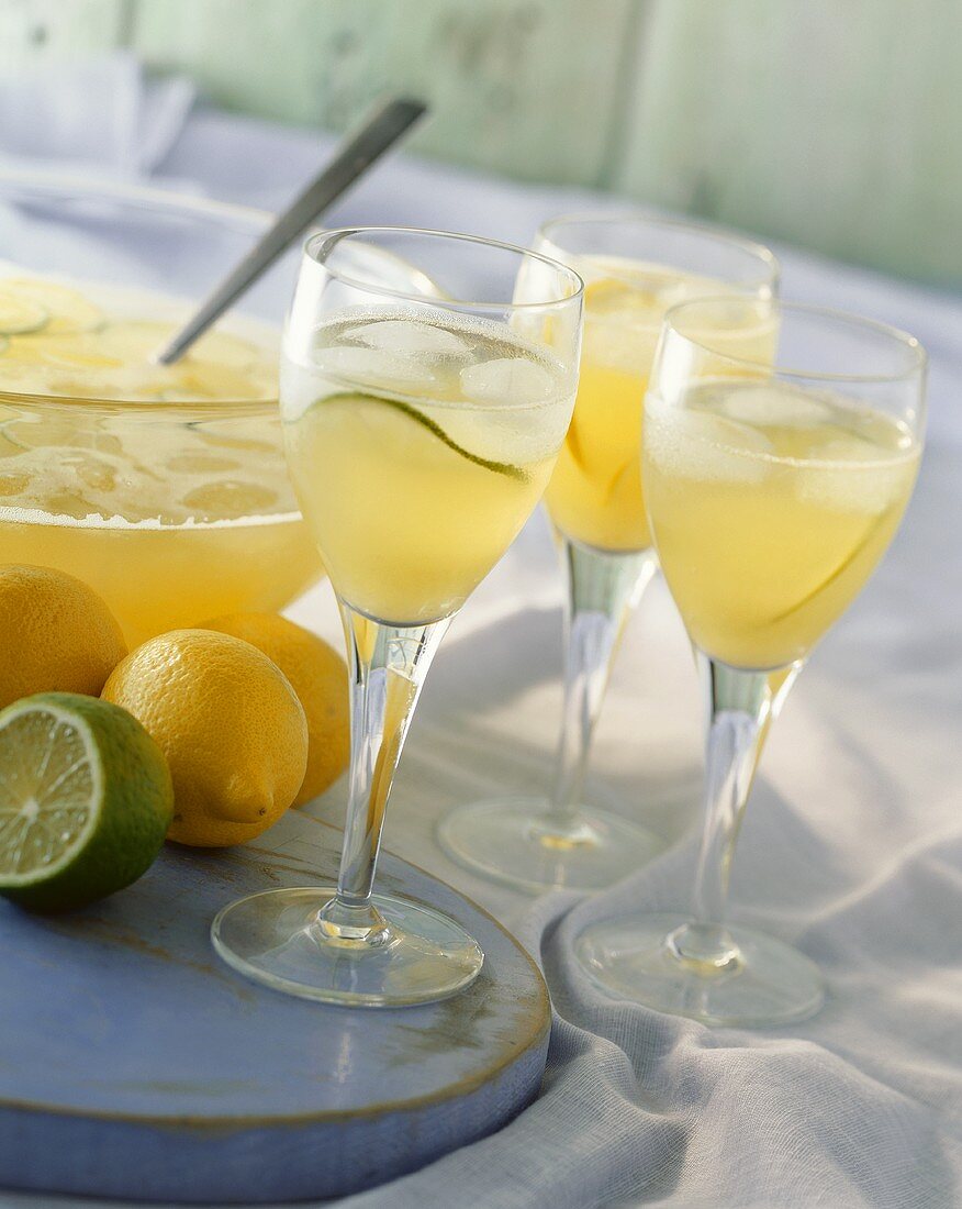 Lemon and lime punch