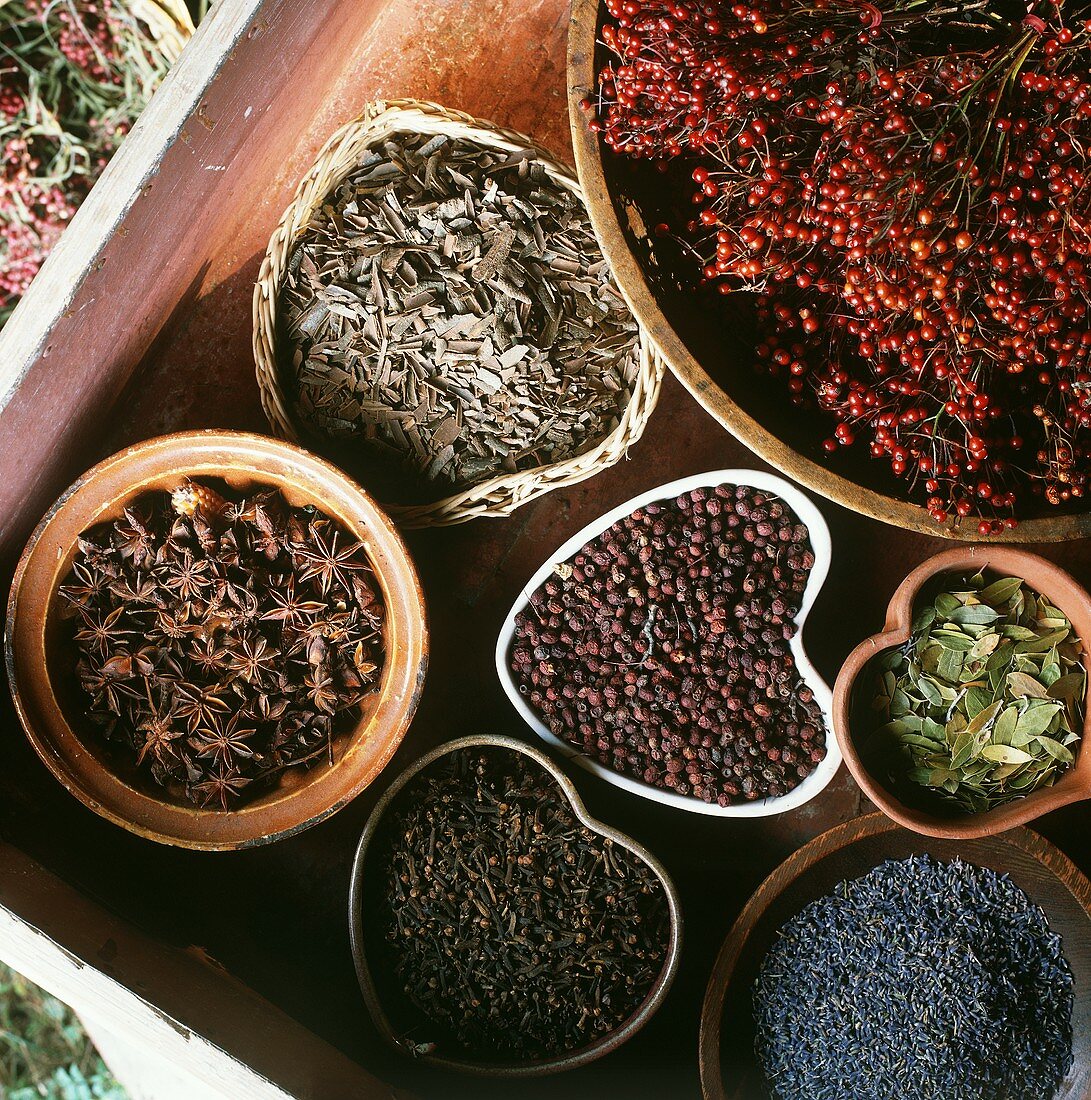 Bowls of various spices and herbs