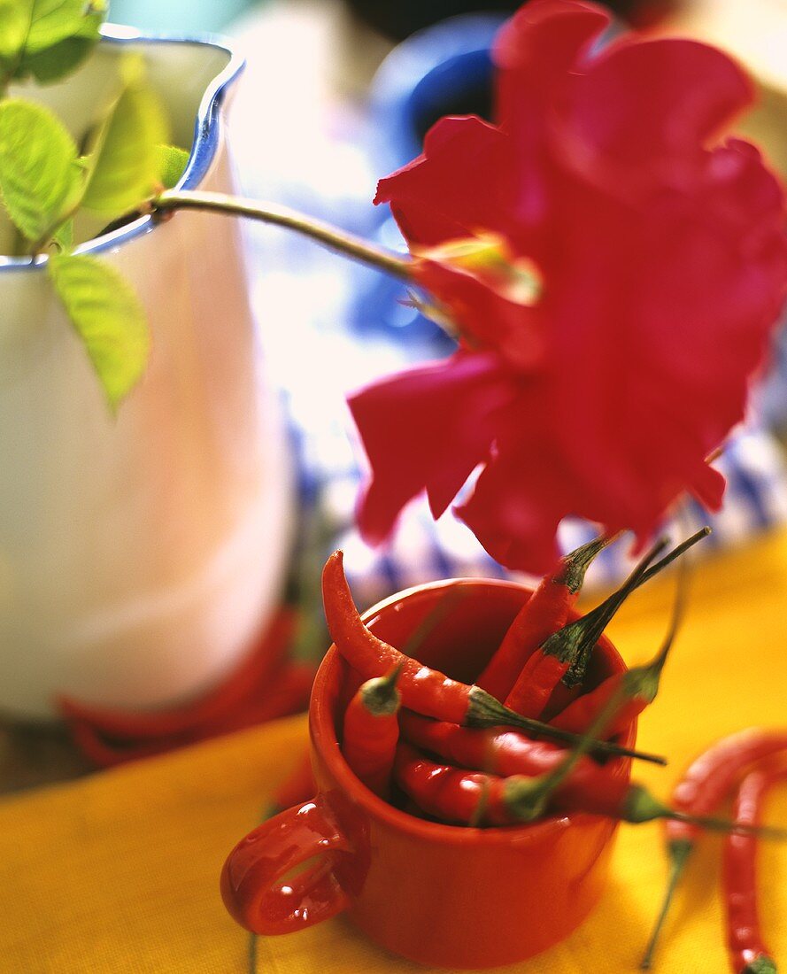 Rote Chilischoten in einer roten Tasse