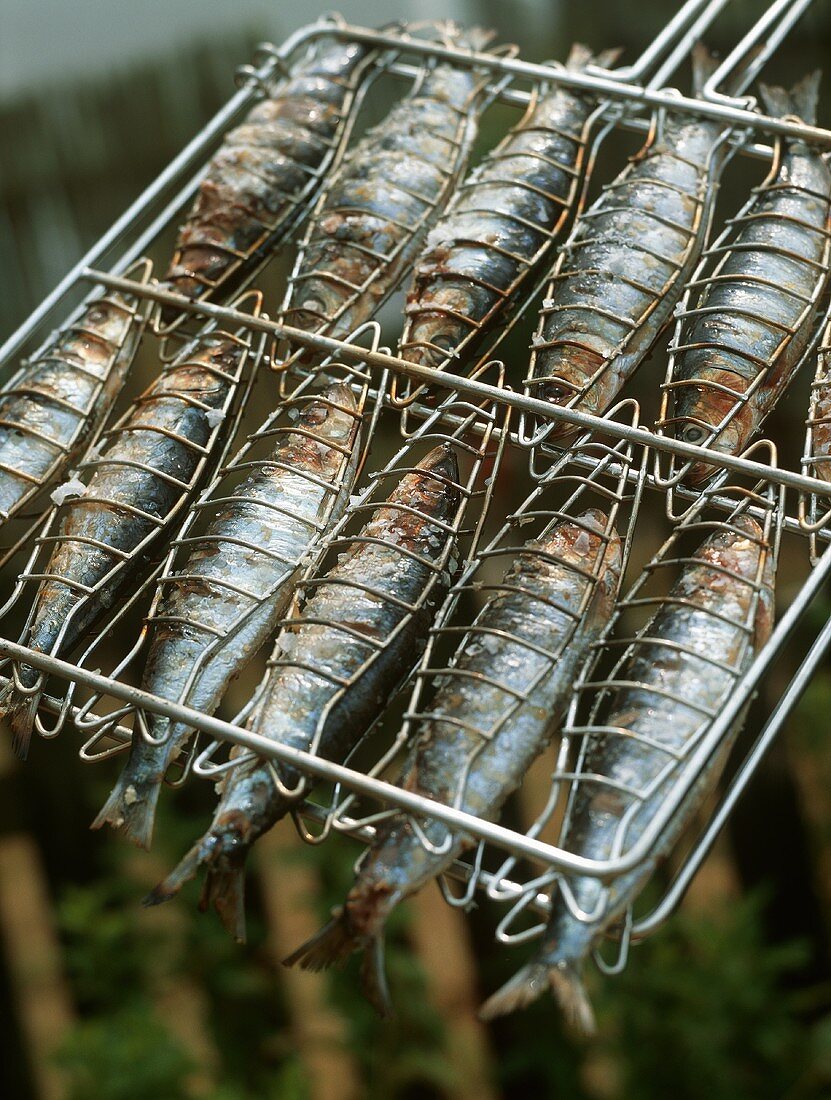 Grilled sardines in a grilling basket