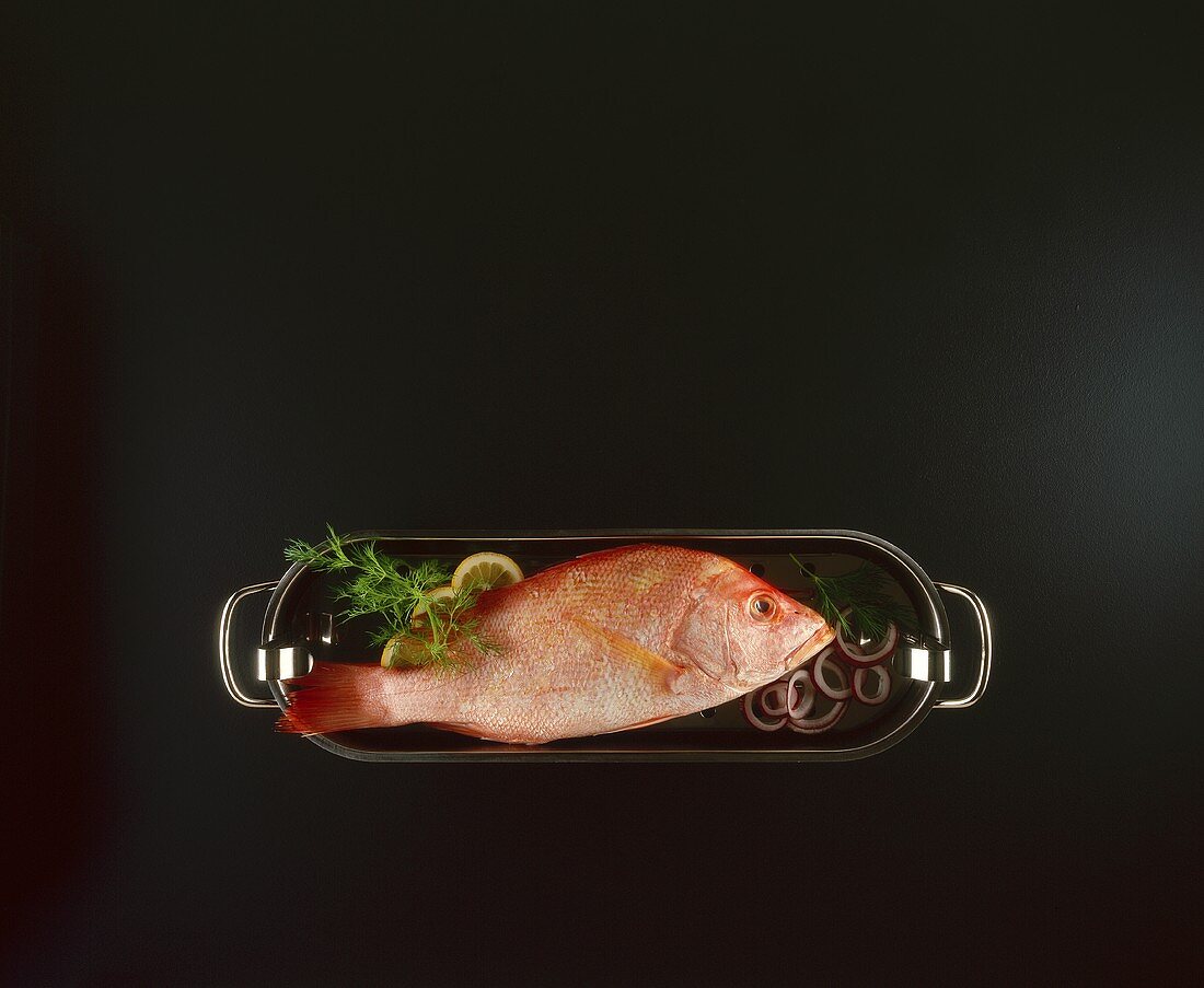 A red snapper in a fish pot