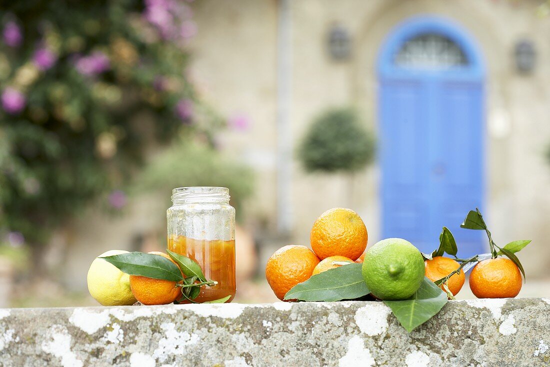 Oranges, lemons, mandarins and jar of orange marmalade
