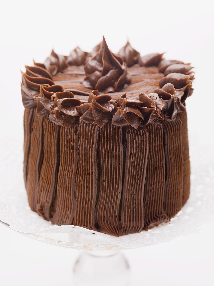 Chocolate cake on cake stand