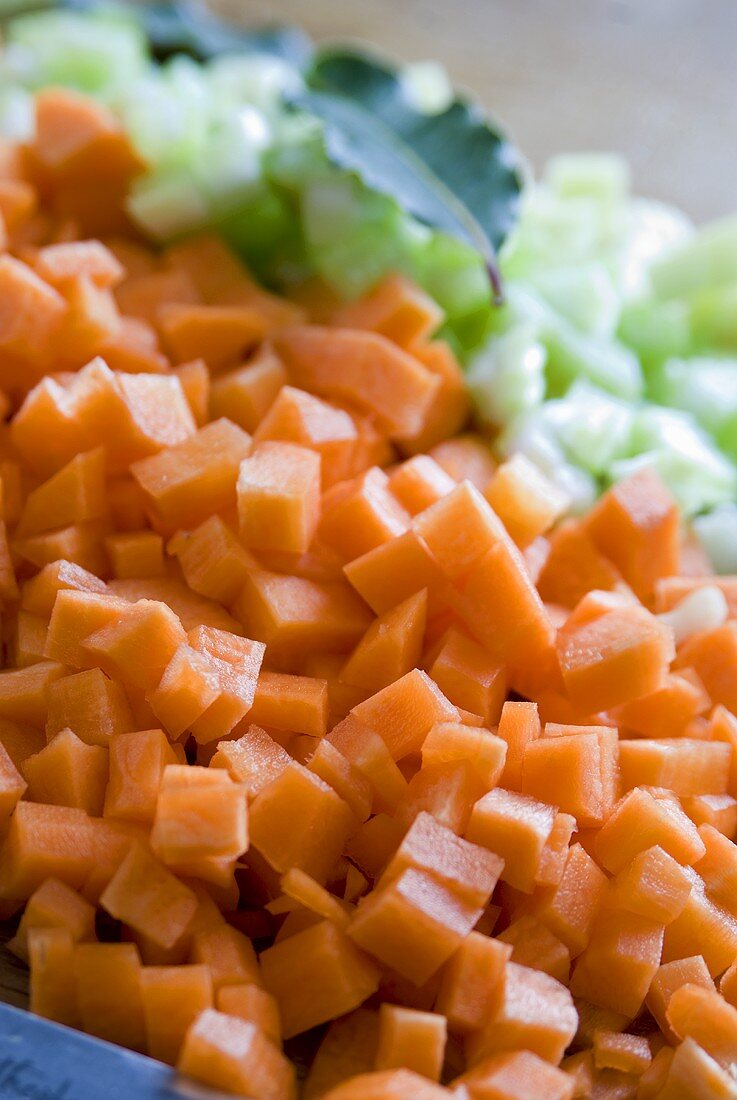 Diced carrots and celery