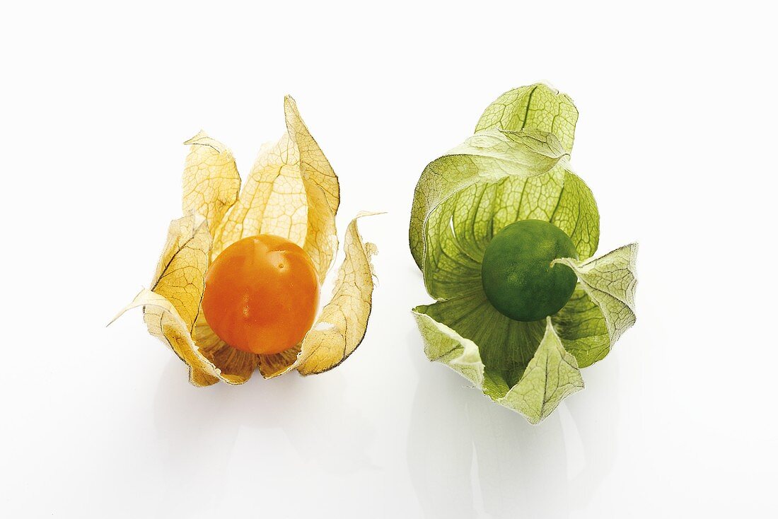 One orange and one green physalis
