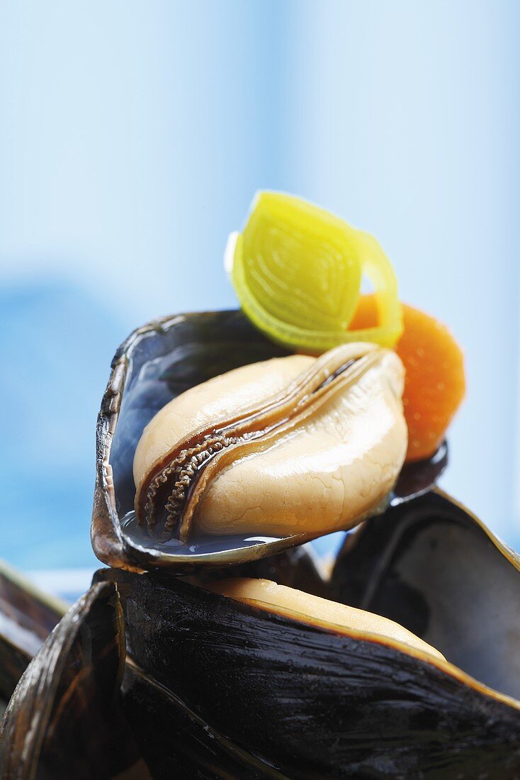 Cozze al vino bianco (Mussels in white wine, Italy)