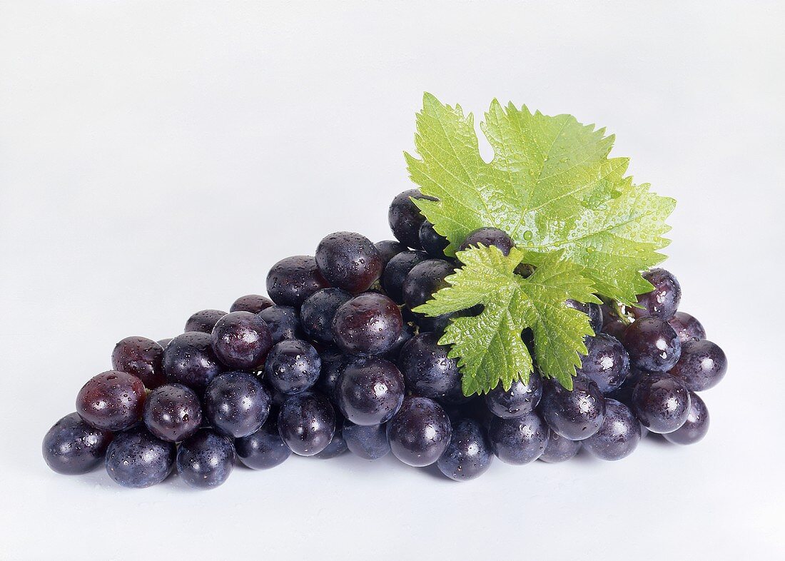 Red grapes with vine leaves