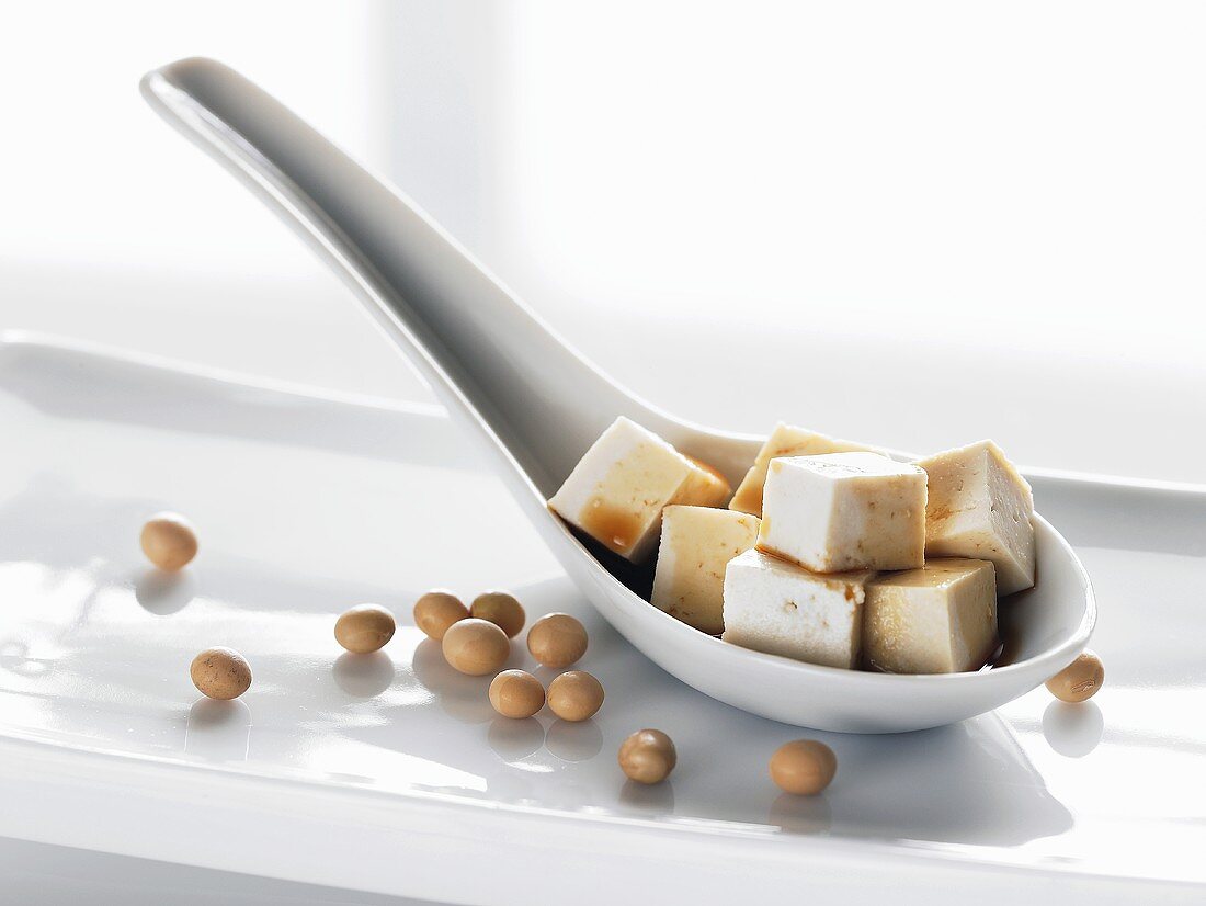 Tofu cubes on spoon, soya beans