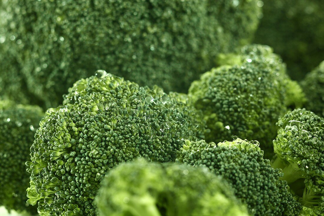 Fresh broccoli