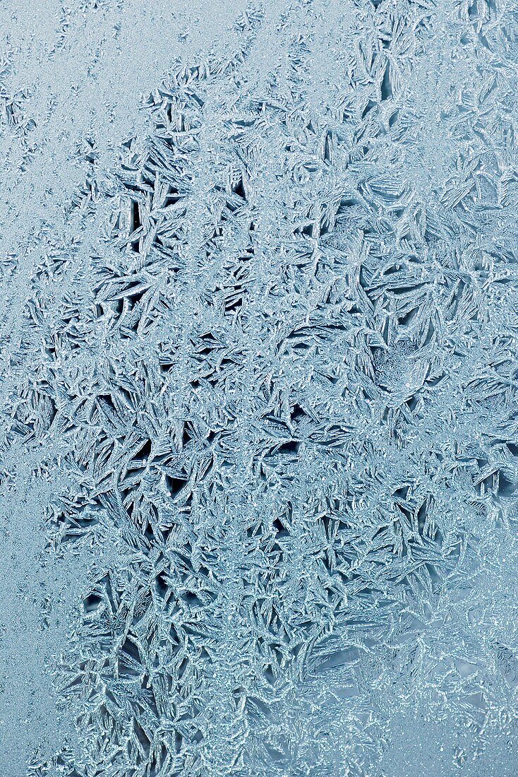 Frost patterns (full-frame)