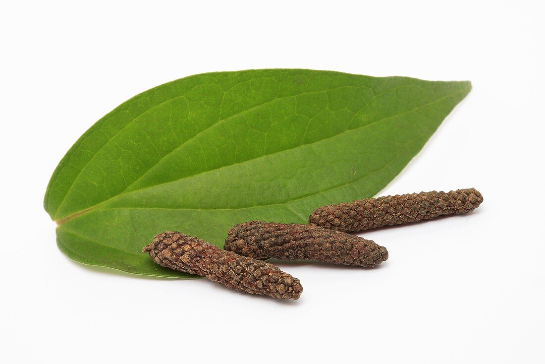 Long pepper with leaf
