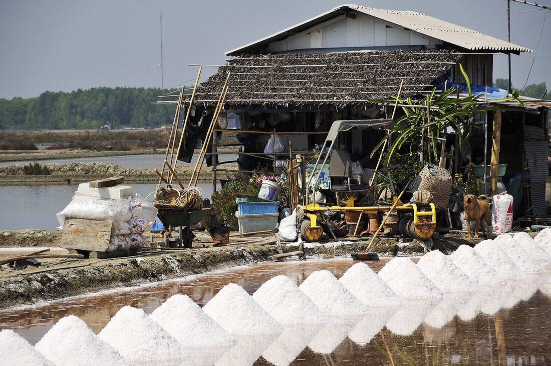 Sea salt extraction in Thailand