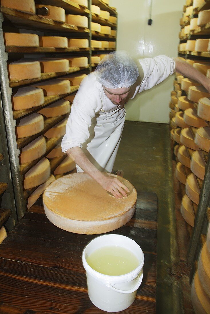 Cheese-maker brushing a cheese