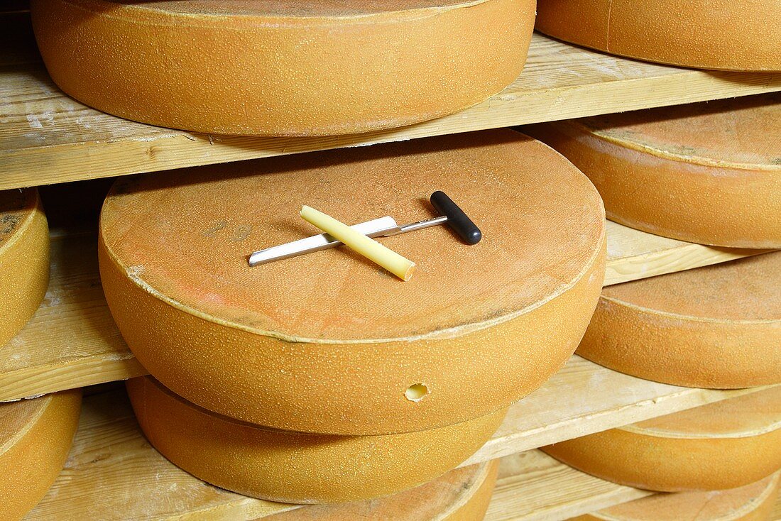 Bergkäse cheese (Alpine cheese) with cheese iron & sample