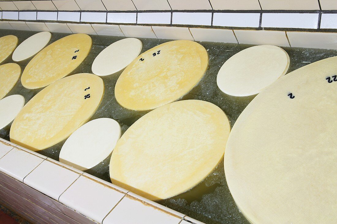 Cheeses in brine bath