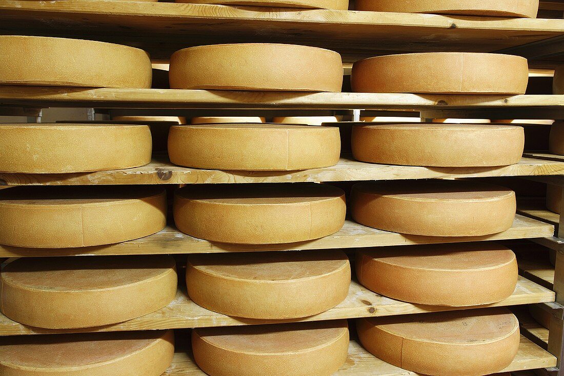 Bergkäse cheese (Alpine cheese) stored on wooden shelves