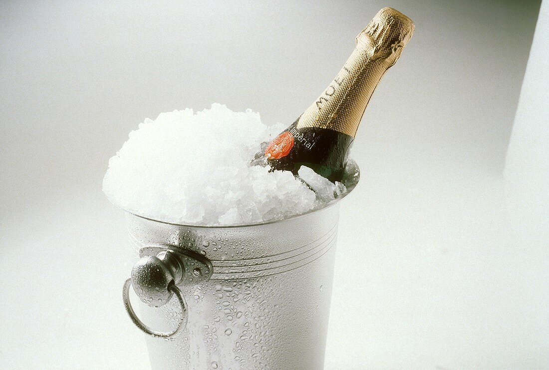 A Bottle of Moet in a Champagne Cooler