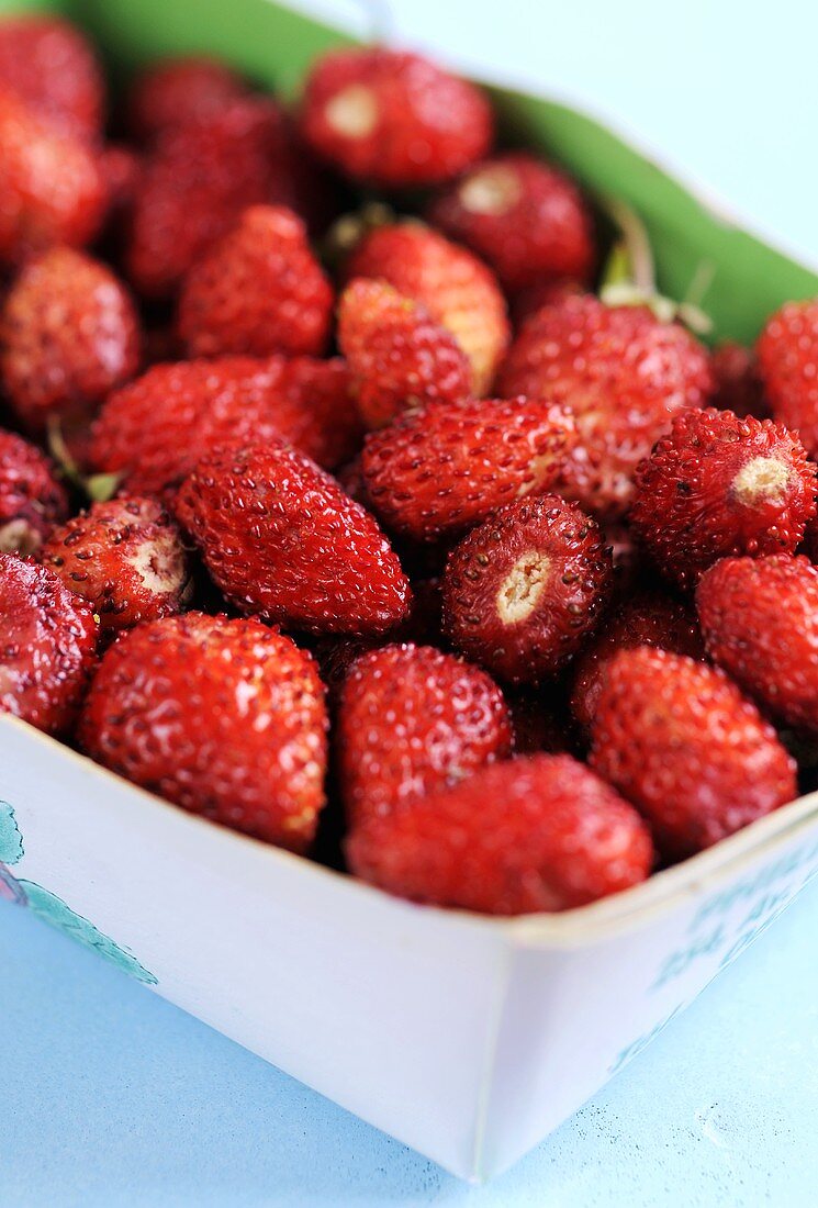 Walderdbeeren im Pappschälchen