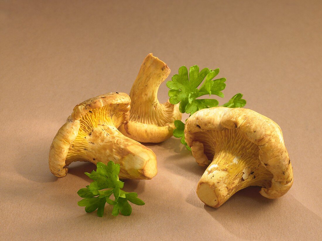 Chanterelles and parsley