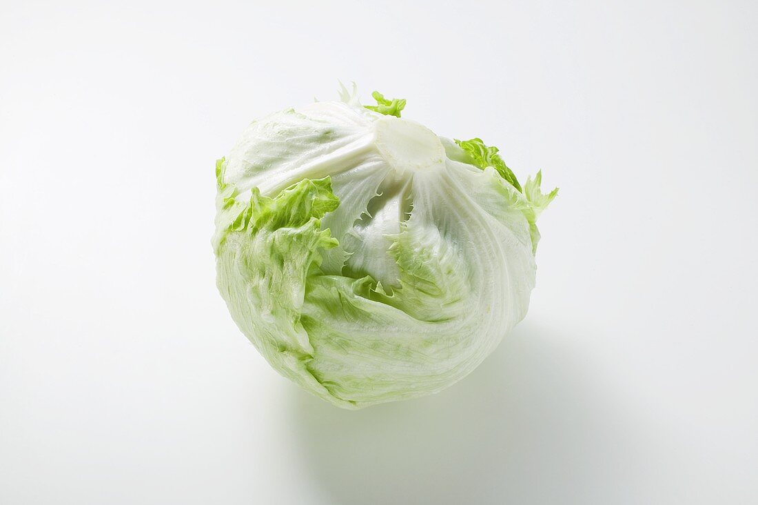 Iceberg lettuce