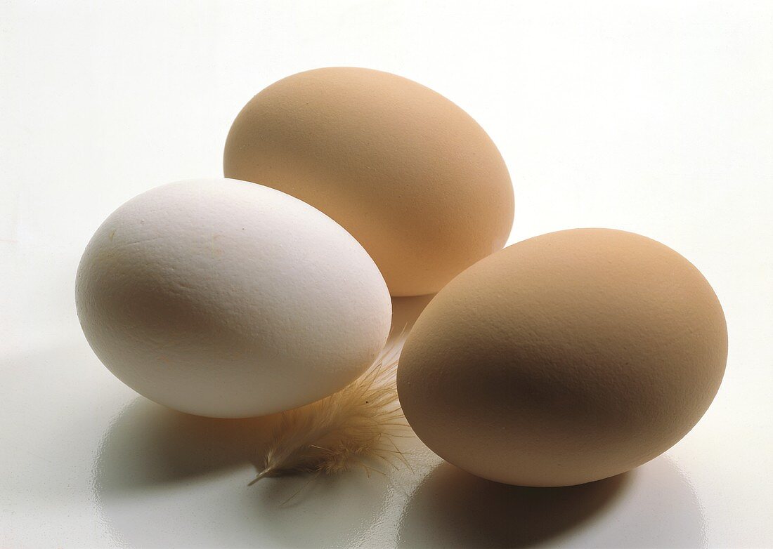 Braune & weiße Eier