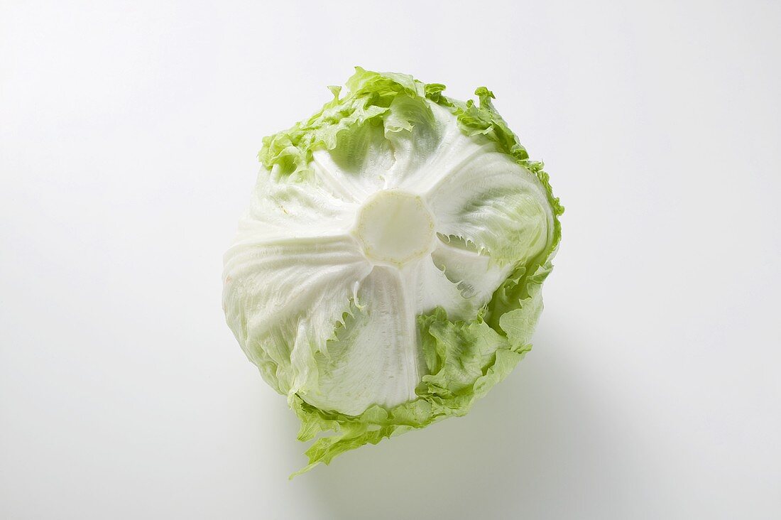 Iceberg lettuce