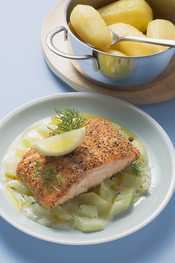 Salmon fillet with cucumber ragout