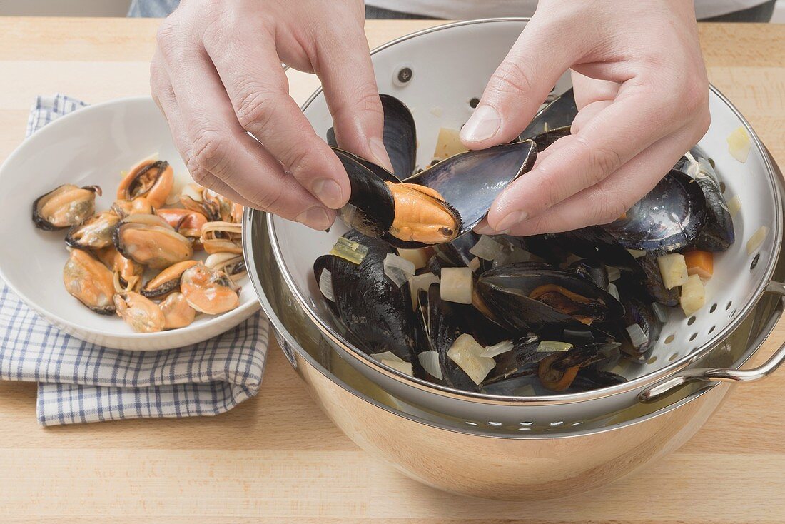Shelling cooked mussels
