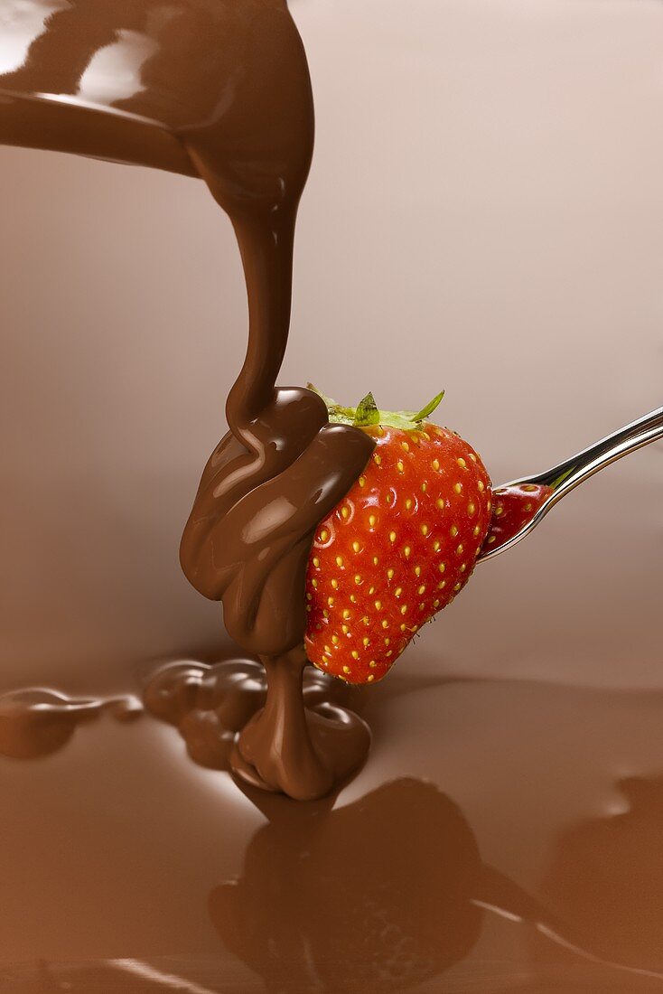 Erdbeere mit Schokoladenüberzug