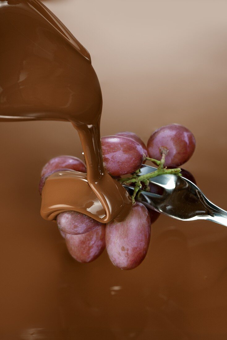 Weintrauben mit flüssiger Schokolade begiessen