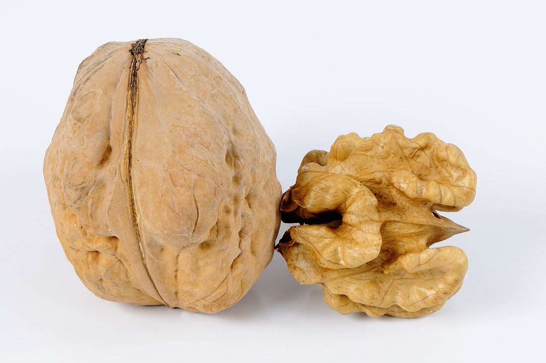 Walnut and shelled walnut