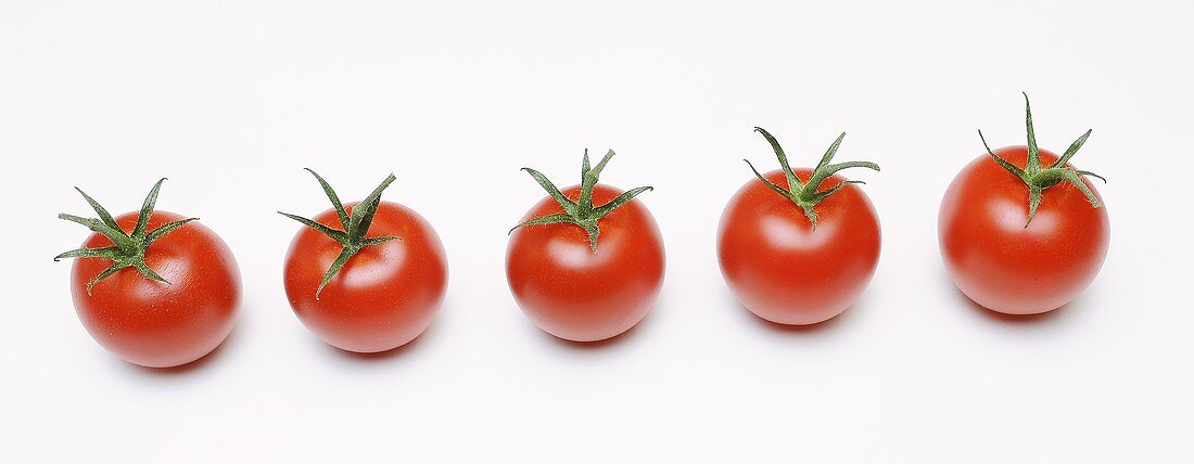 Fünf Tomaten in einer Reihe