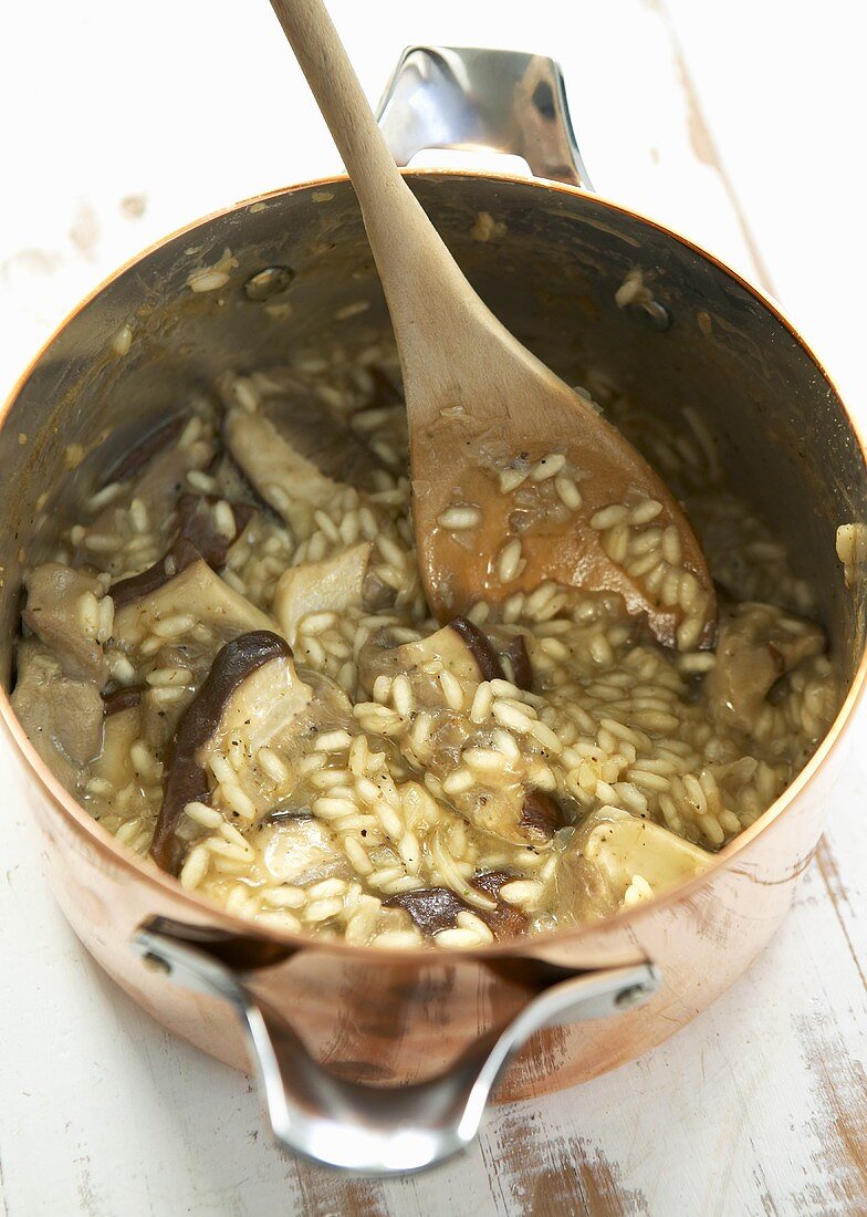 Mushroom risotto in copper pan