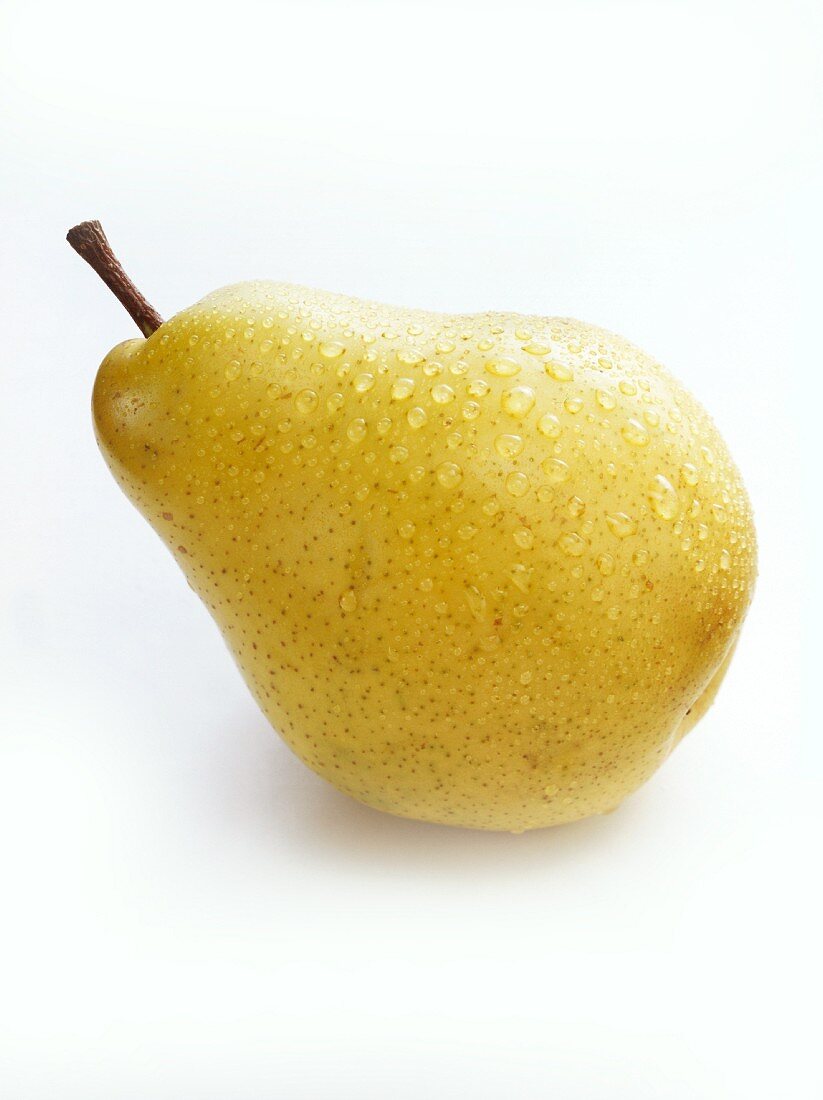 Pear (Packham's Triumph)