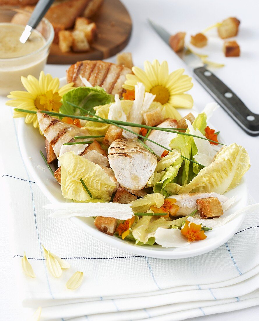Summery Caesar salad with grilled chicken breast