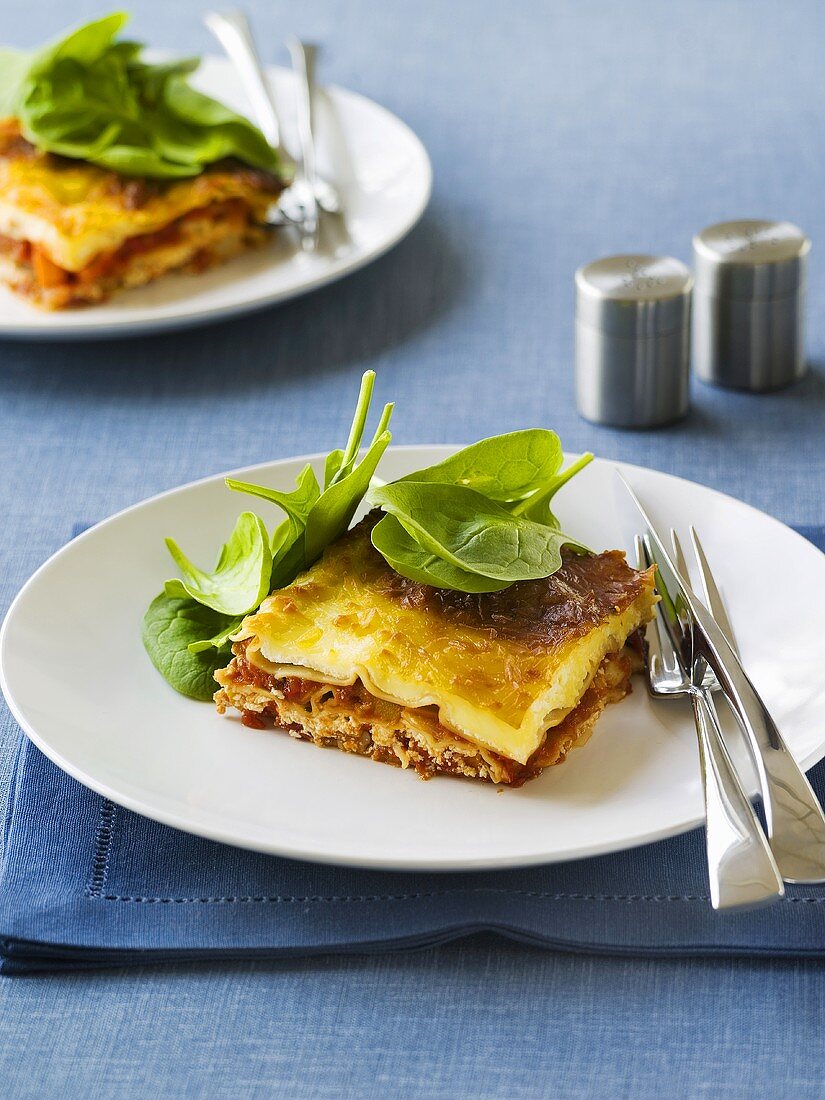 Vegetable lasagne with fresh spinach