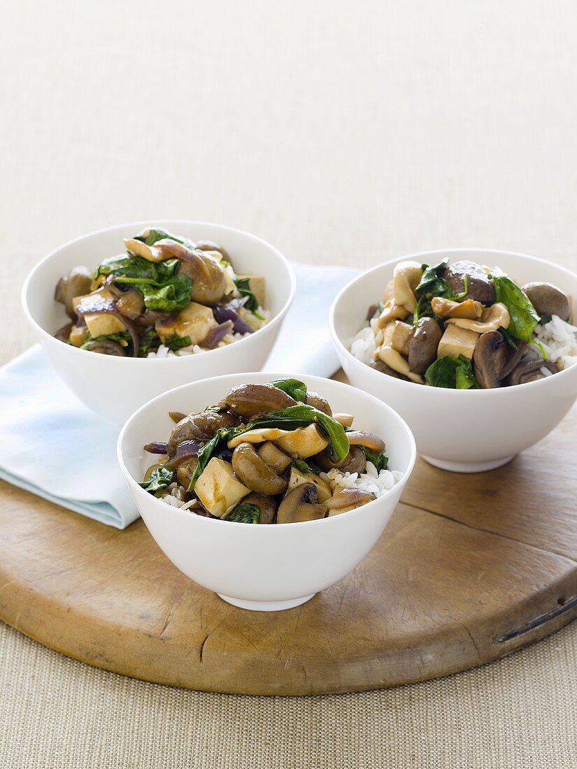 Braised mushrooms with tofu on rice