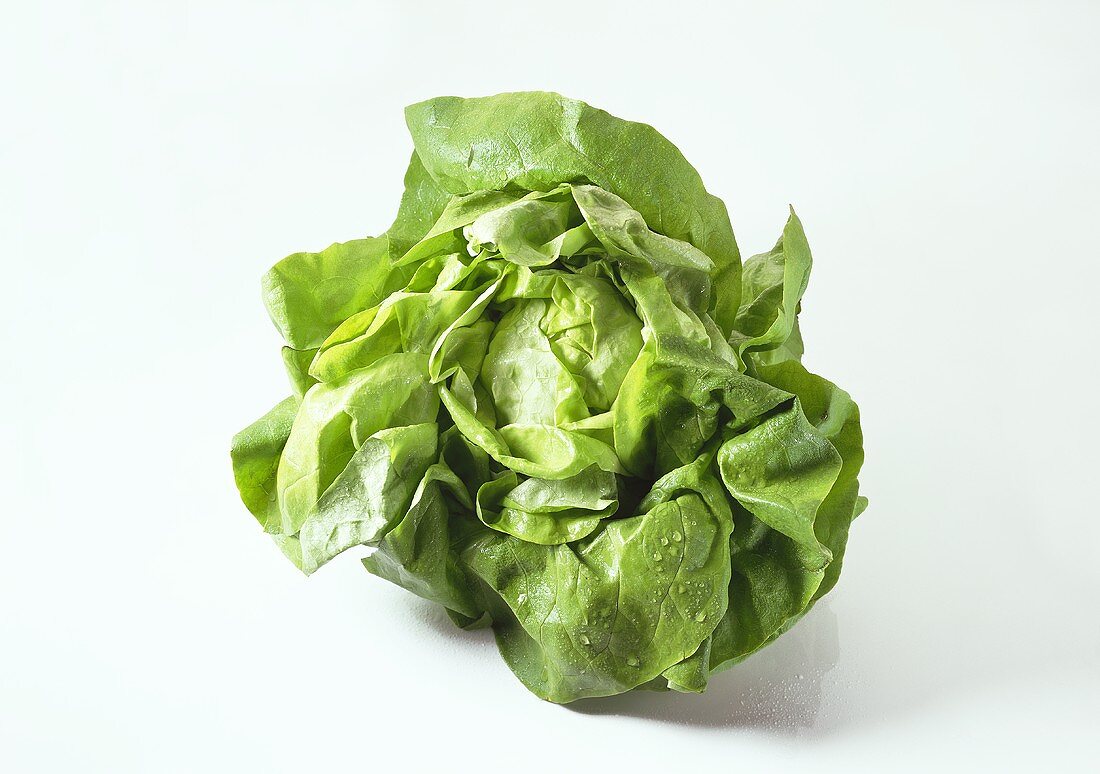 Lettuce 