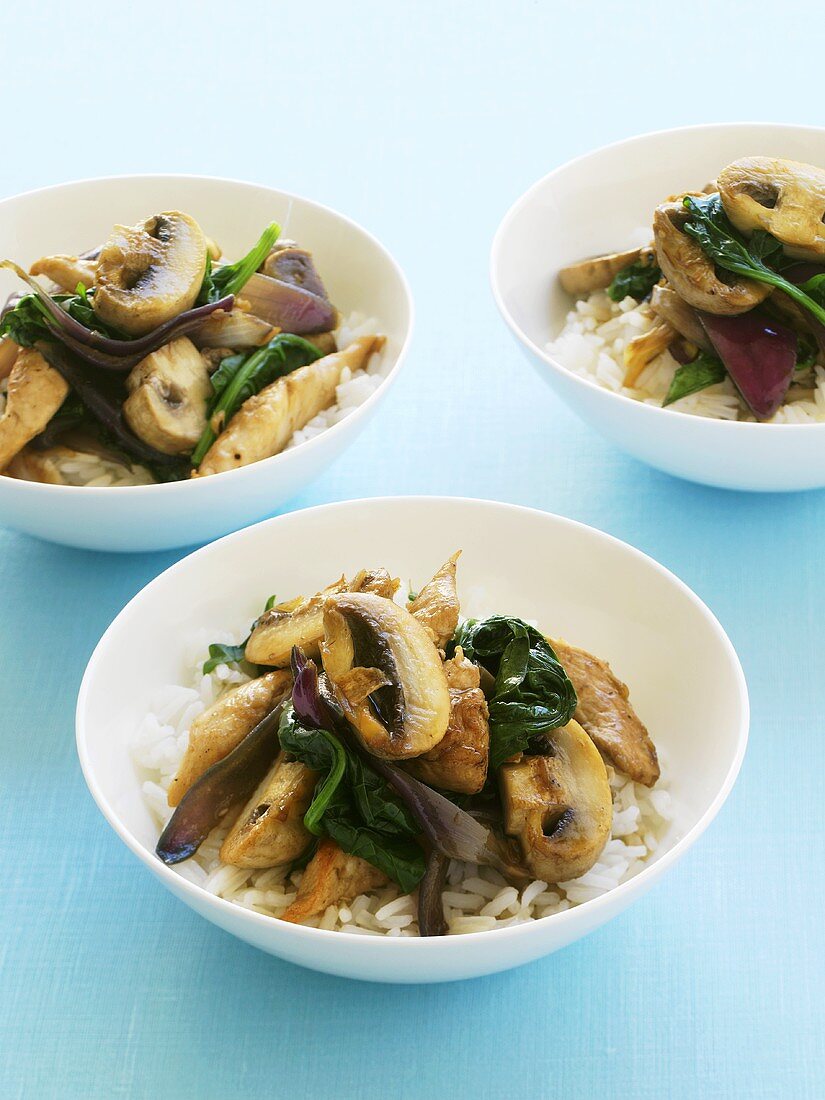 Stir-fried mushrooms and spinach on rice