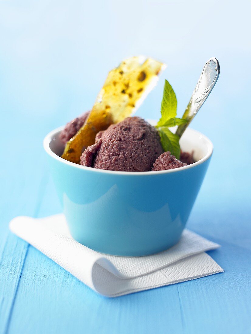 Acai berry yoghurt sorbet