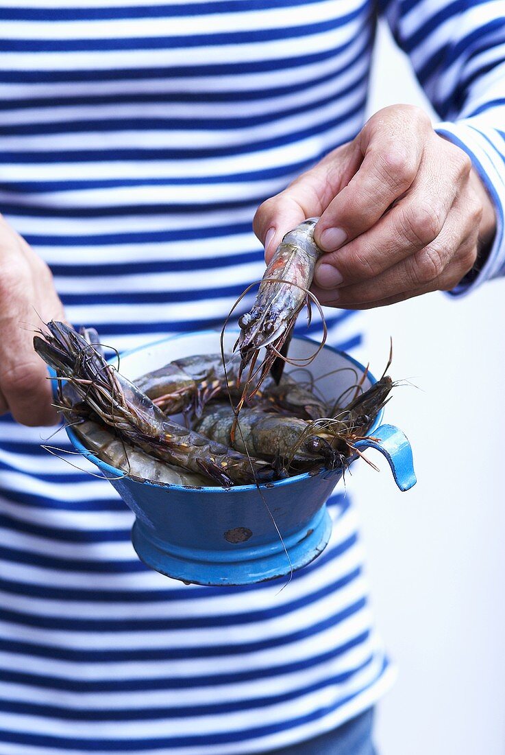 Someone showing fresh king prawns in a strainer